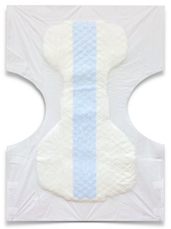 Absorbency Plus full mat diapers